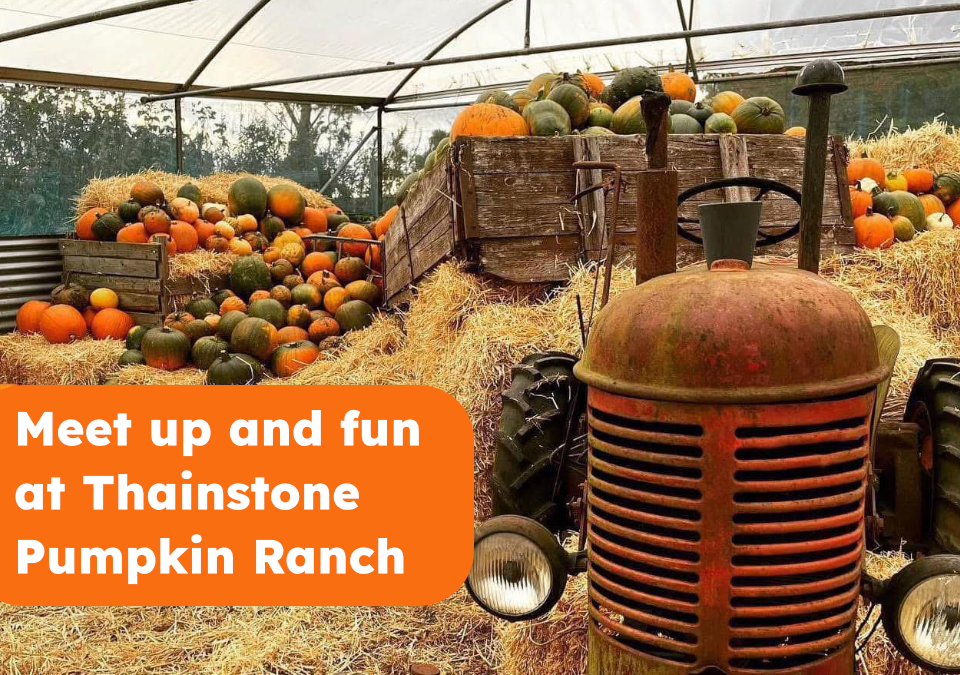 Meet Up and Fun and Thainstone Pumpkin Ranch